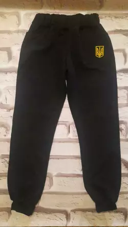 Дитячі і підліткові спортивні штани  Чорні,сірі "Герб України"