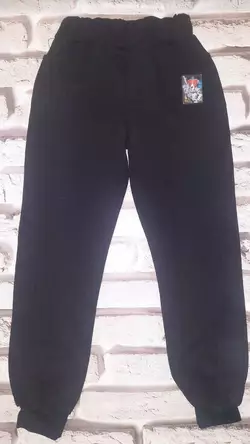Дитячі і підліткові спортивні штани  Чорні,сірі  "Пес Патрон"