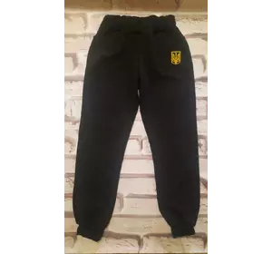 Дитячі і підліткові спортивні штани  Чорні,сірі "Герб України"